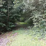 In *