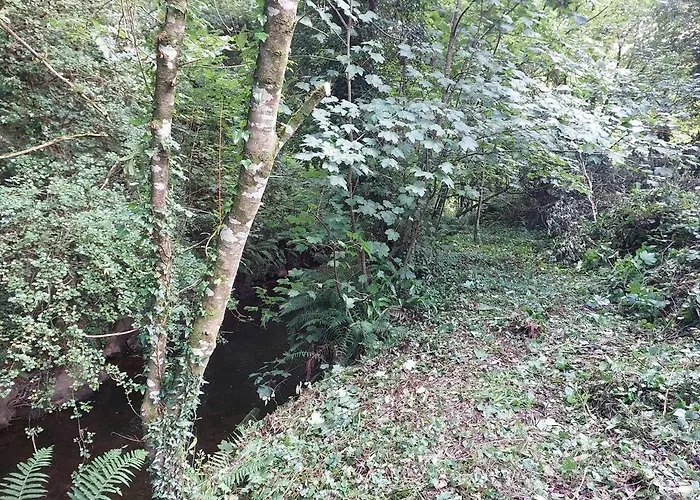 In בית נופש *