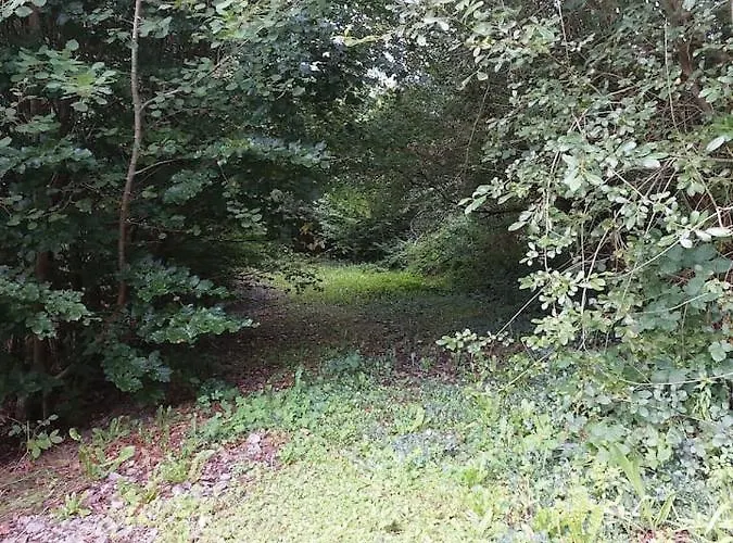 In *